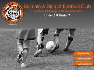 Balmain dfc discount grading